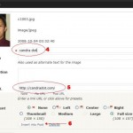 upload file