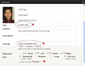 upload file