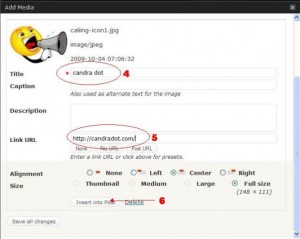 add an image