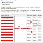view details subscriber