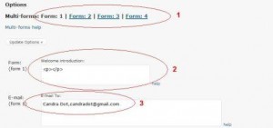 option contact form