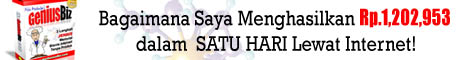 Geniusbiz1